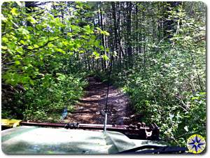 overgrown 4x4 trail