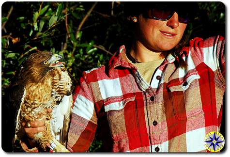 red tailed hawk woman