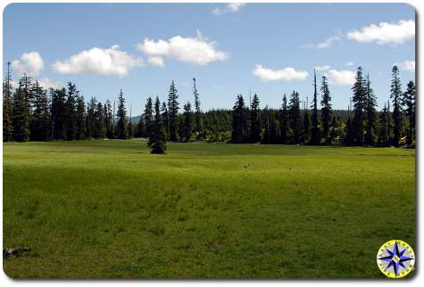 govenment meadow pacific crest trail