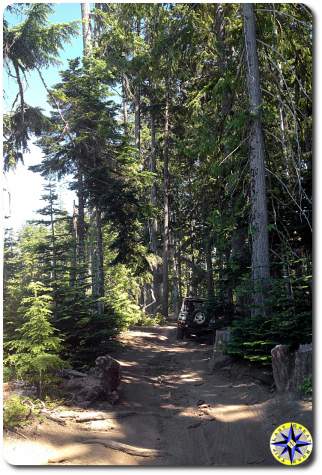 defender 90 naches wagon trail trees