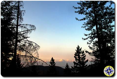 blue sky sunrise through the trees