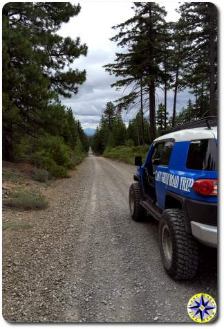 toyota fj cruiser long forest road