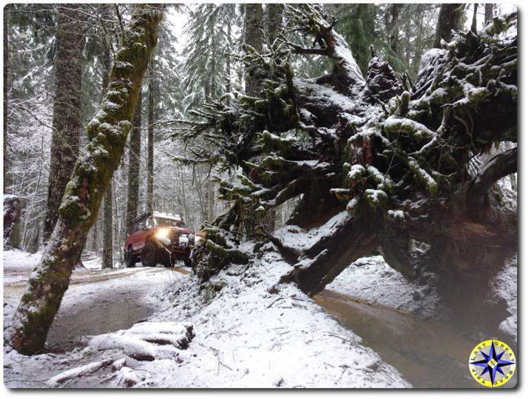 Tillamook Forest offroad stroll Overland Adventures and OffRoad