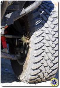 cactus embeded toyo open country mud tire