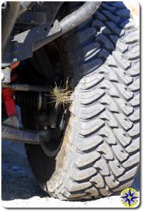 sharp cactus in tire sidewall toyo open country
