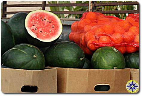 watermelons oranges for sale