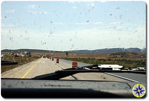 orange barrels on road and bug on windshield